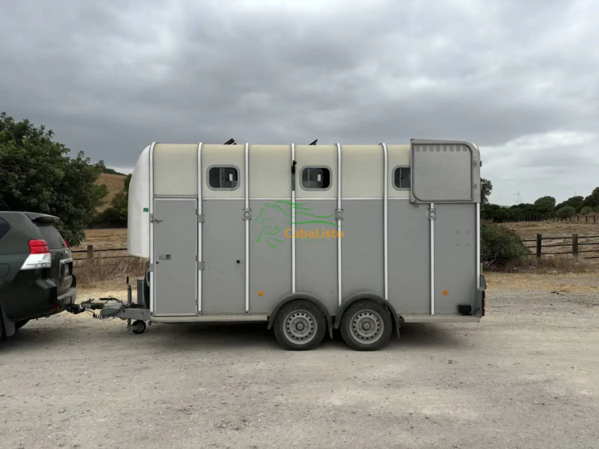 Van Ifor Williams (2020)