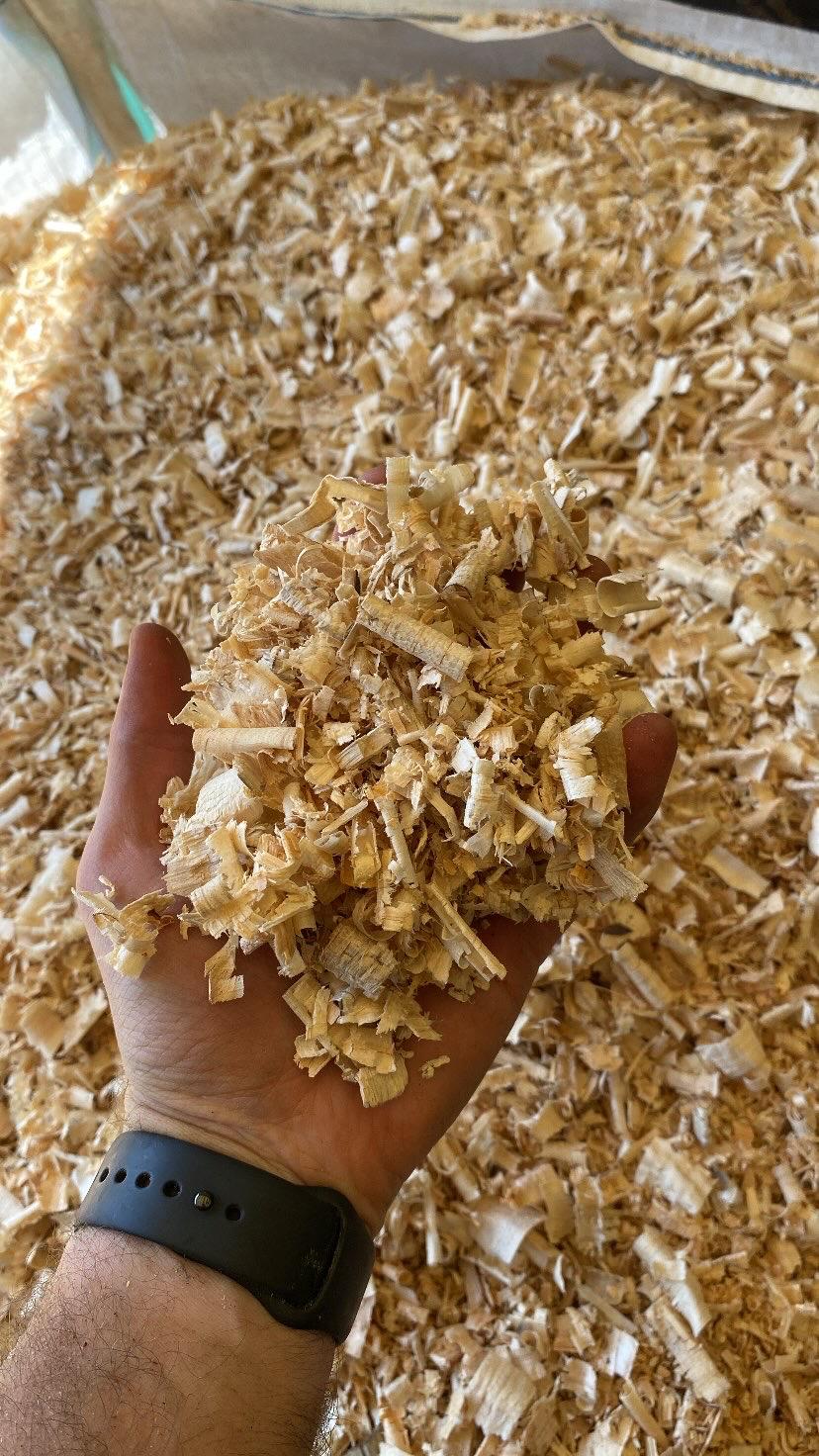 Viruta de pino