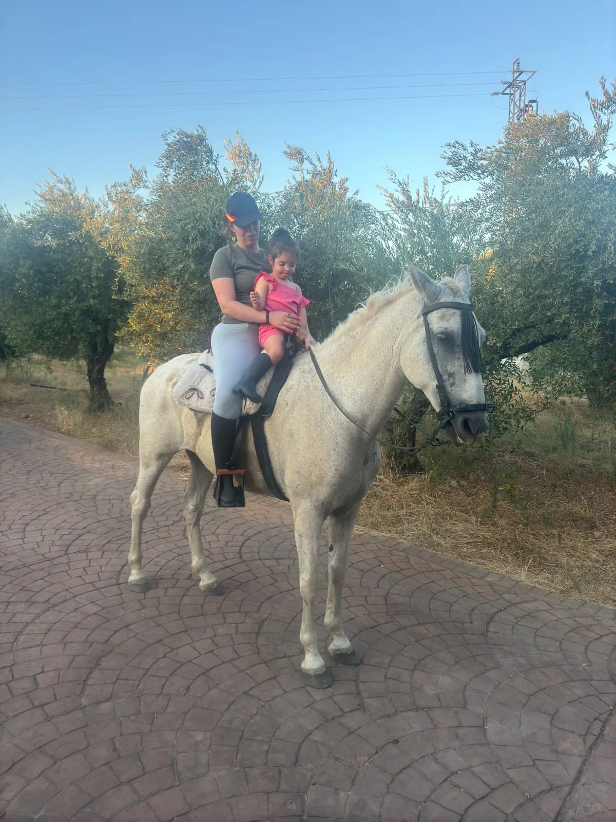 Se vende caballo tordo