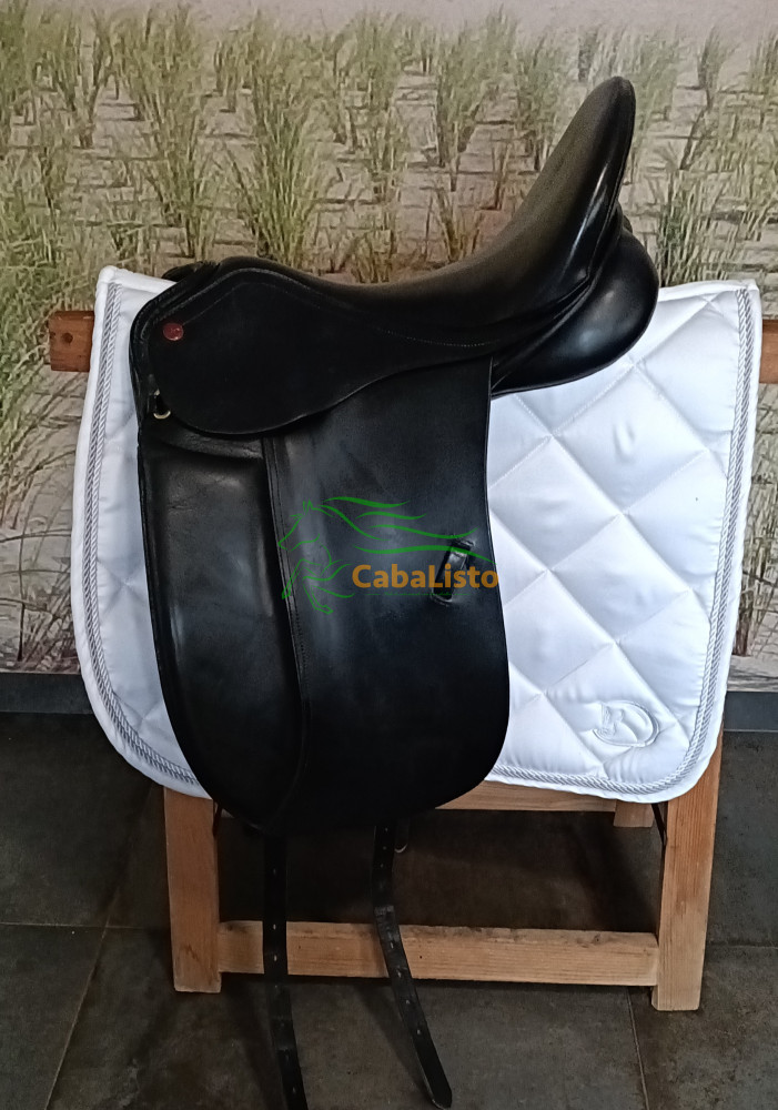 JORGE CANAVAS DE DOMA