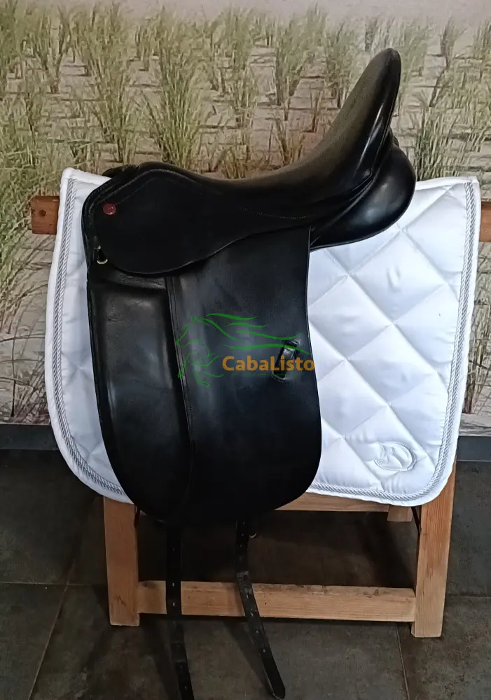 JORGE CANAVAS DE DOMA