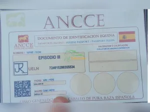 Pre semental 5 años