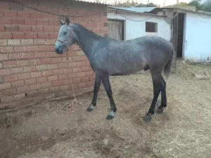 En venta