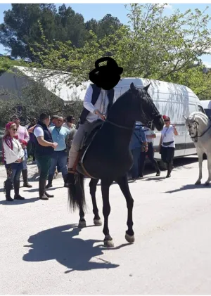 caballo pre negro