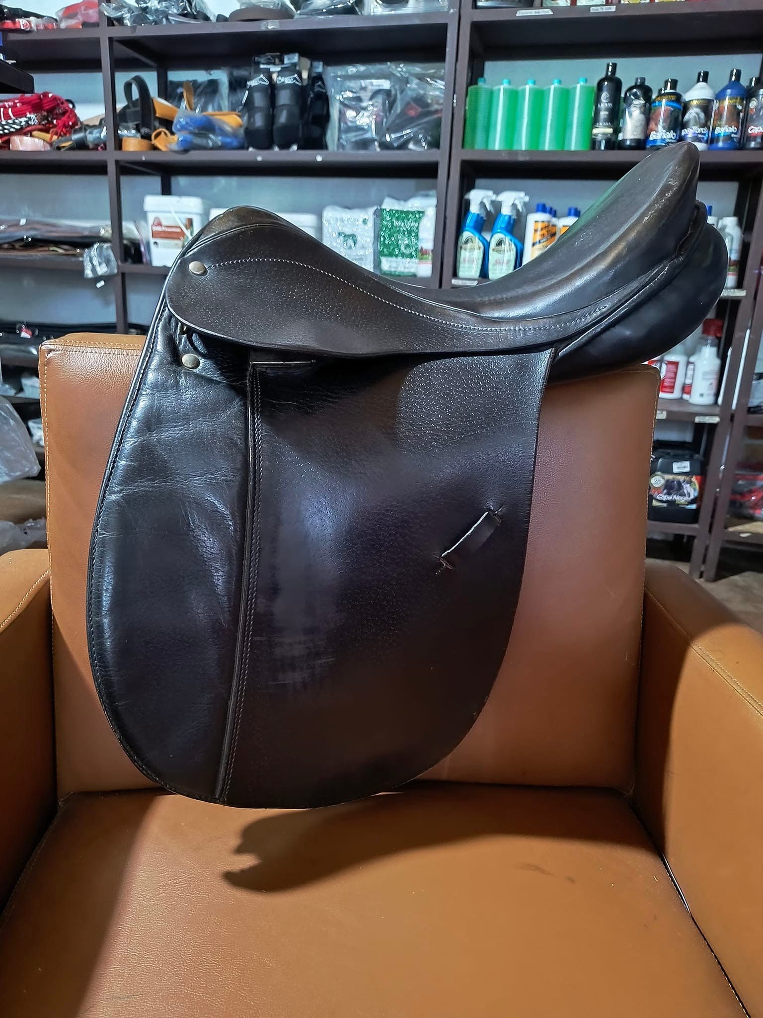 Albardon de adiestramiento Prima Suisse 17 pulgadas