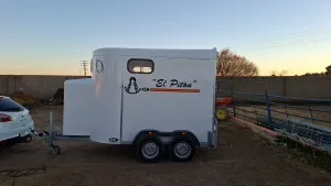 Se dan portes de caballos
