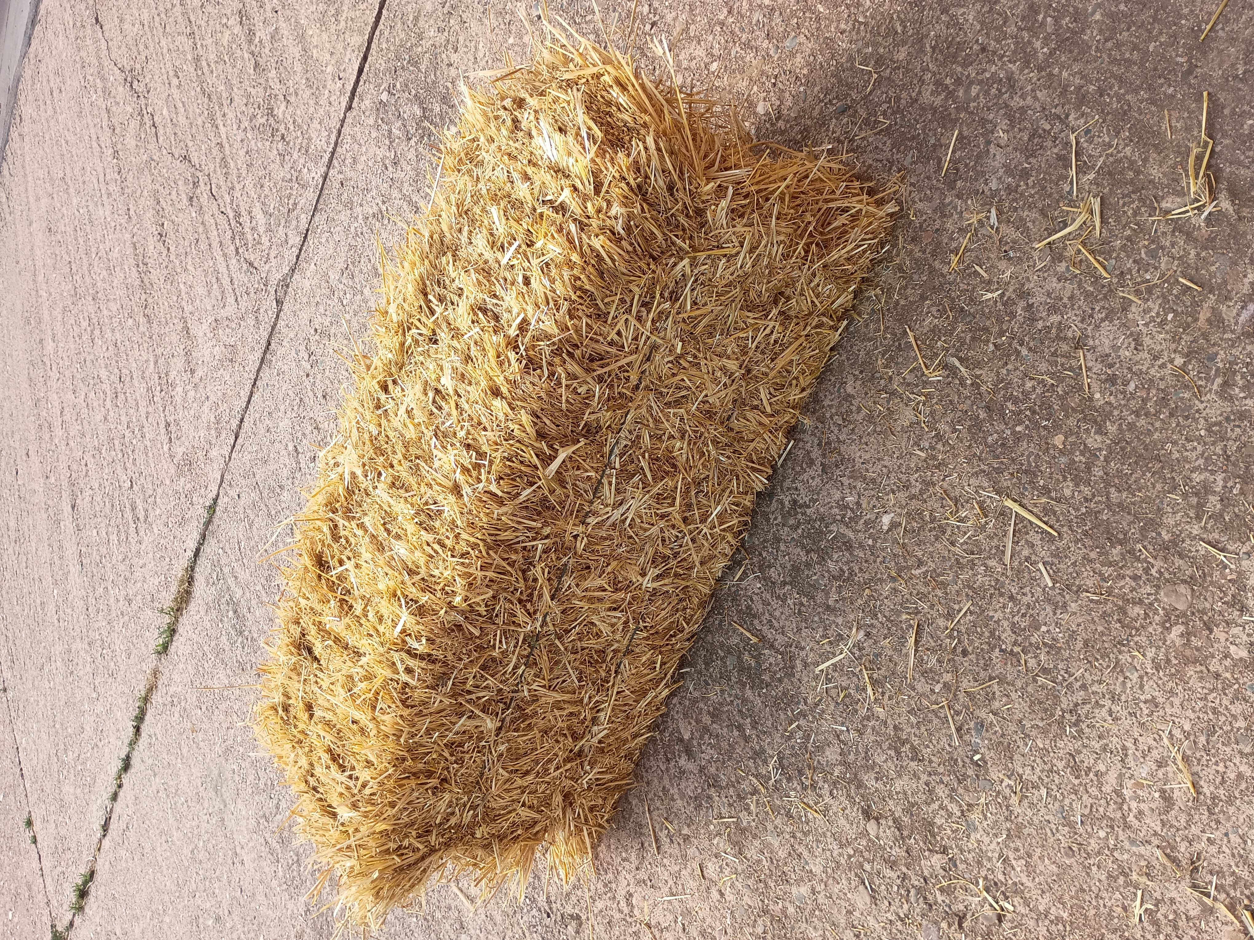 PAJA HENO CEBADA Y TRIGO