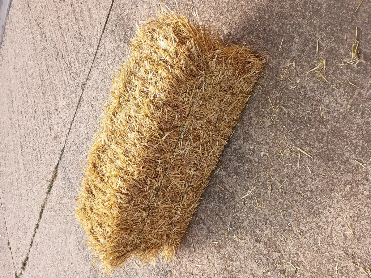 PAJA HENO CEBADA Y TRIGO