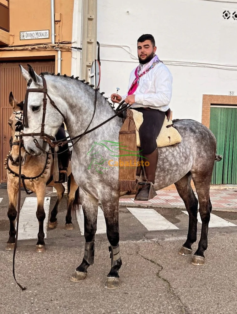 Madre española y padre CDE
