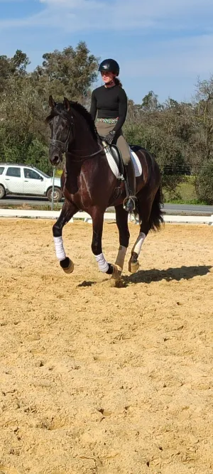 Caballo Pura Raza Español