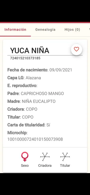 Yegua pre alazana