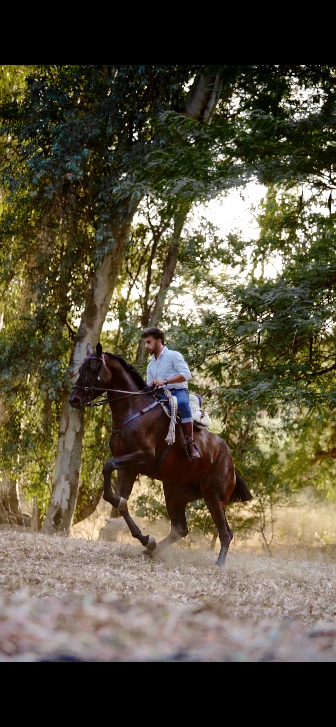 Se ofrece jinete de doma vaquera