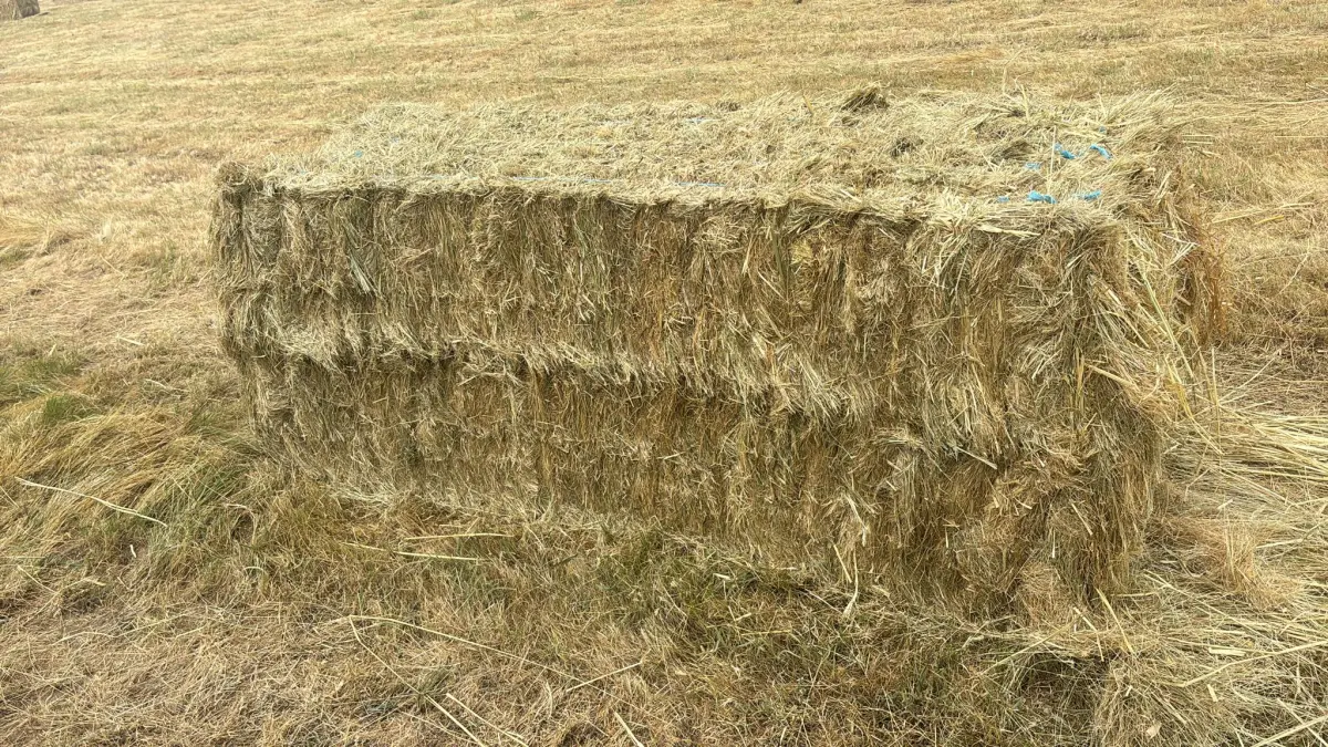 Heno - Hierba