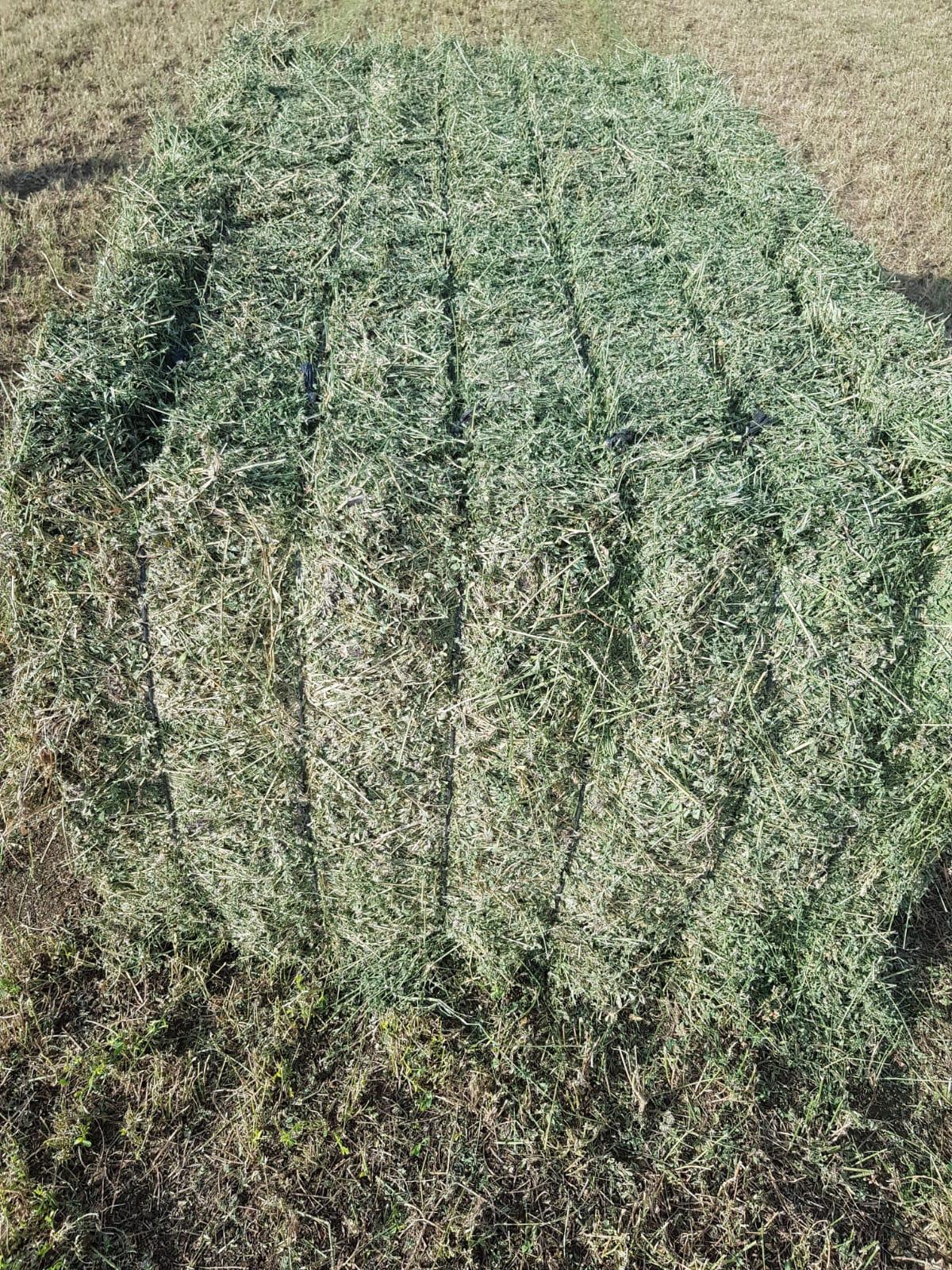 Heno y alfalfa de cordoba