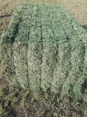 Heno y alfalfa de cordoba