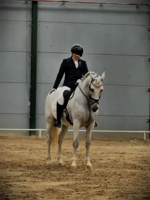 CABALLO PRE