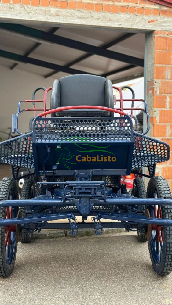 Maratón competición