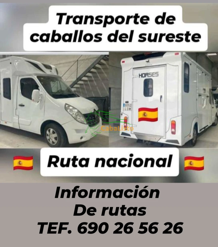 TRANSPORTES DE CABALLOS  SURESTE