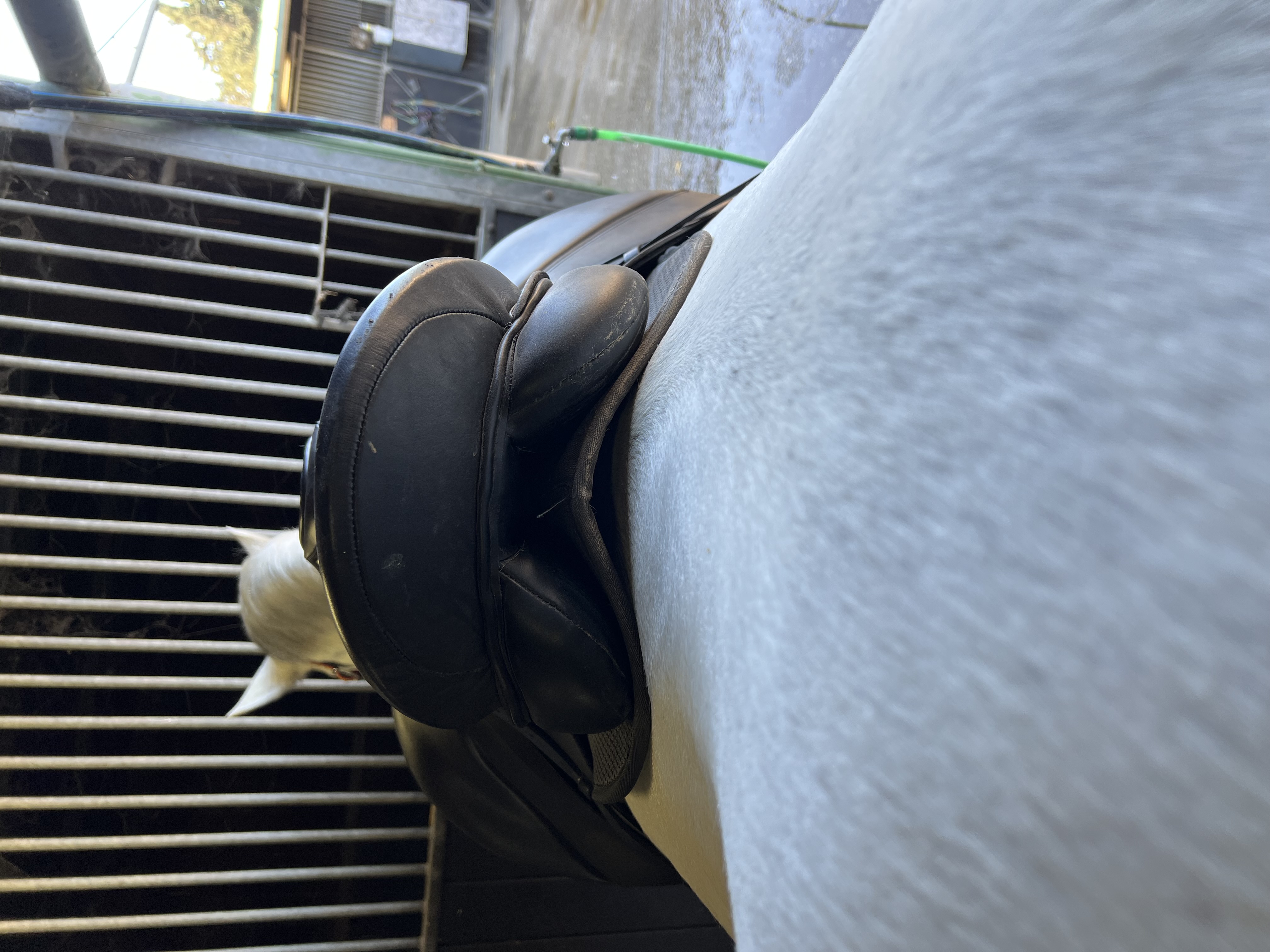 Se vende montura de doma clásica