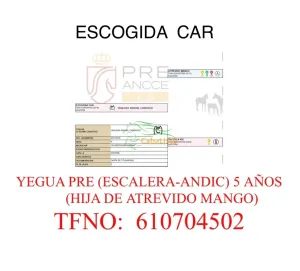 PRE