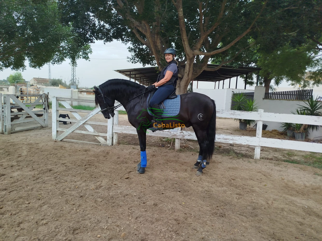 PPE con pasaporte. 6 años. Buen carácter.