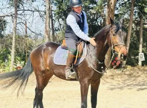 Yegua de salto de 5 años con genética de élite y gran proyección