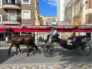 Carruajes de bodas y eventos