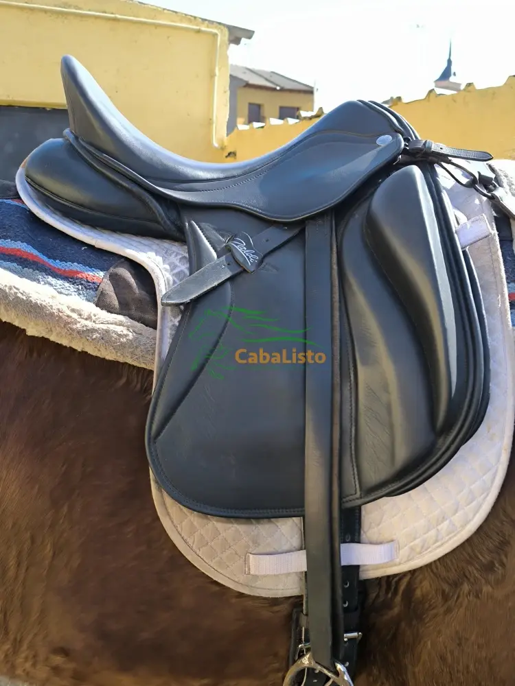 Se vende Zaldi San Jorge 17'5"