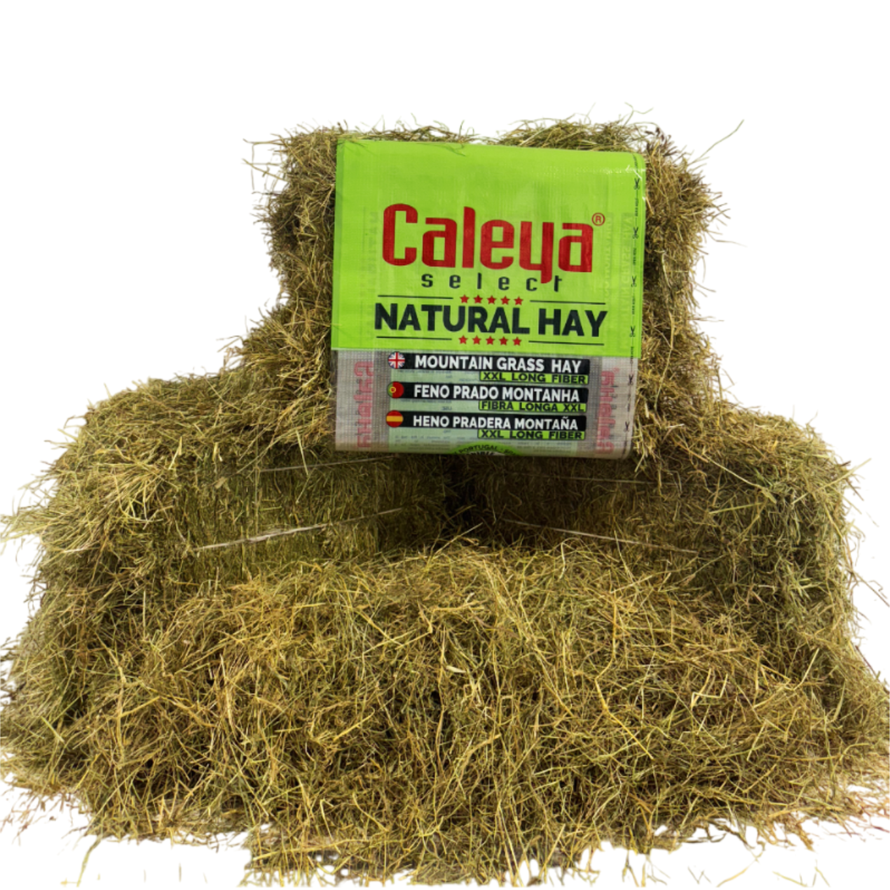 SELECT HAY HENO PRADO