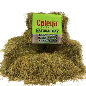 SELECT HAY HENO PRADO