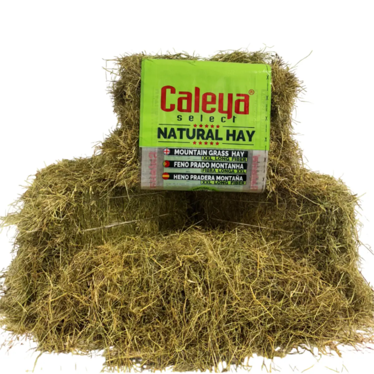 SELECT HAY HENO PRADO