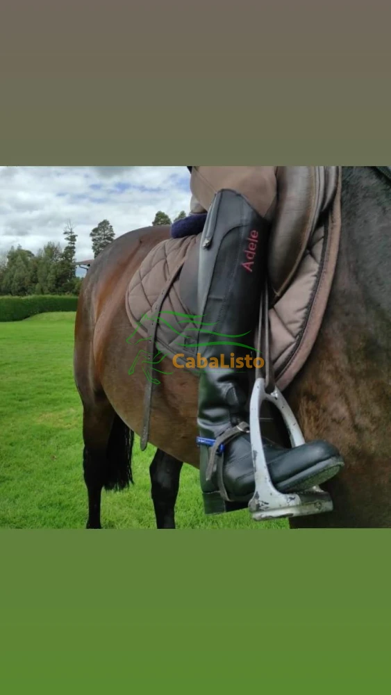 Tu pasión por la equitación merece lo mejor: Botas de cuero personalizadas.