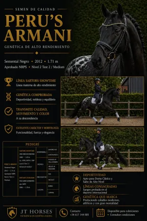 SEMENTAL APPALOOSA CENTRO EUROPEO 172 DE ALZADA, LINEA SIR DONNERHALL I