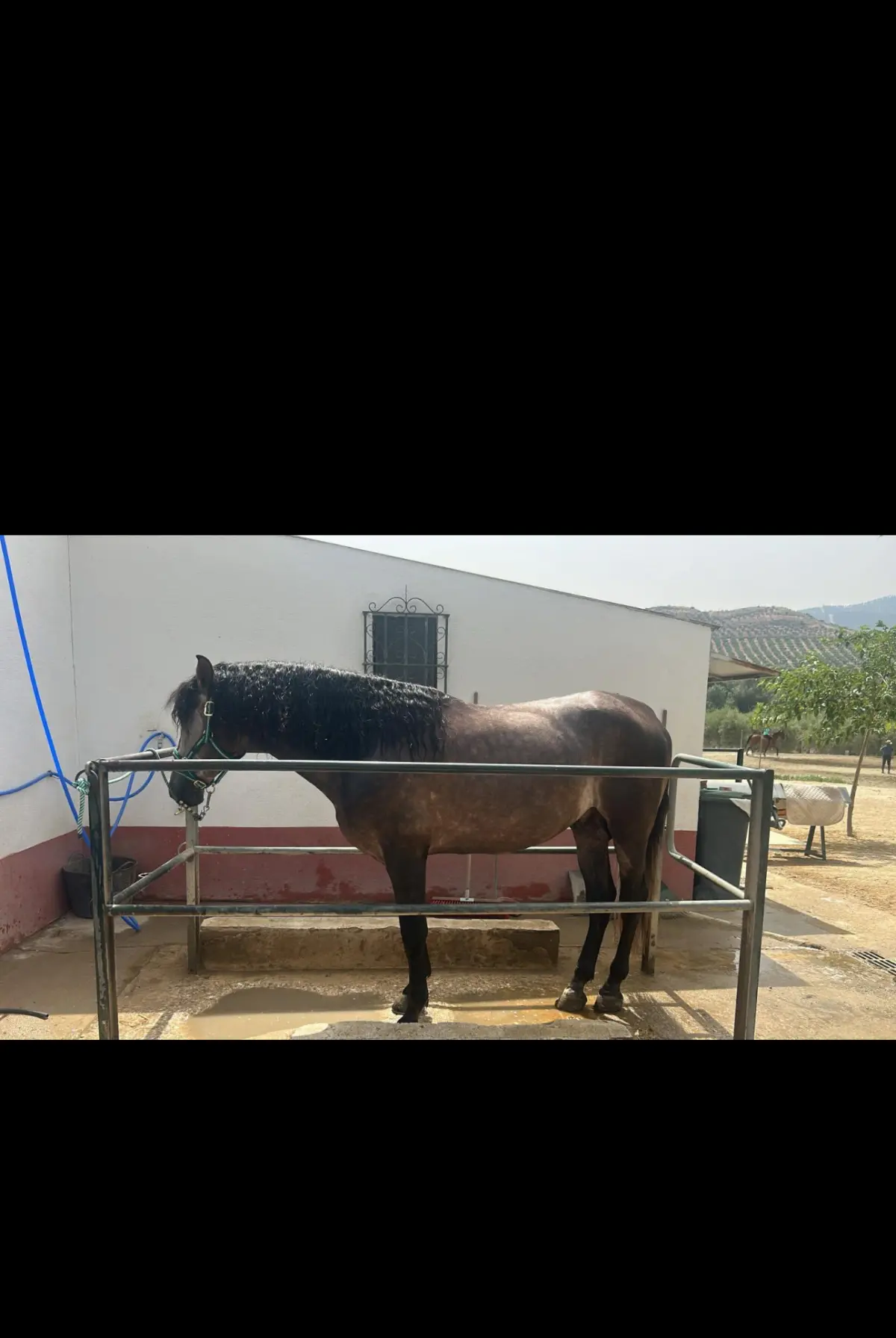 SE VENDE PRE INSCRITO EN ANCE DOMADO