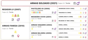 Armas Soldado Disponible Cubriciones