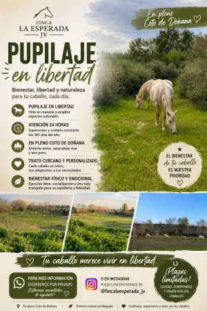 PUPILAJE EN LIBERTAD🐎